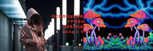 бутират Няндома