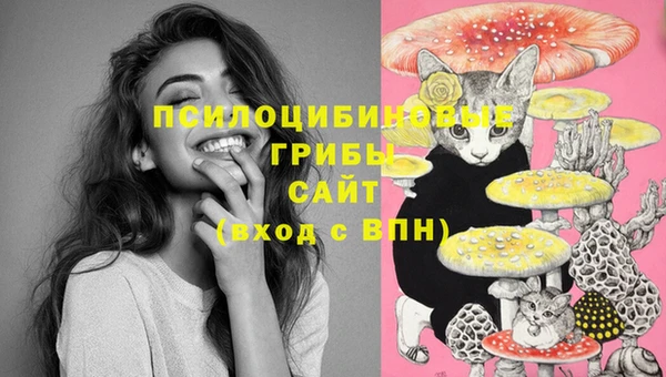 марки lsd Белоозёрский