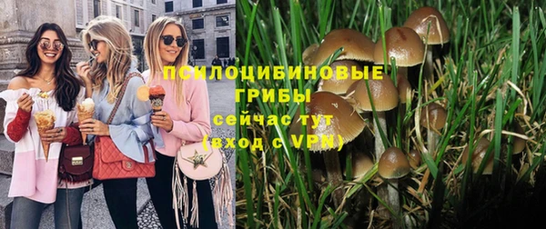 ECSTASY Нязепетровск